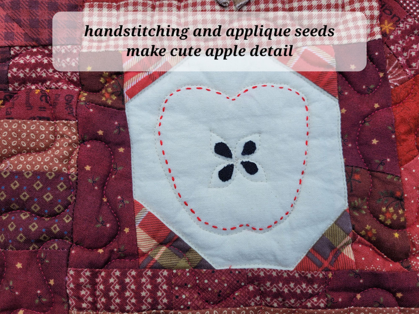 A close-up of a handmade quilted textile featuring a central muslin patch with a red hand-stitched apple outline with four black appliqued seeds. The surrounding fabric is scrappy patchwork in deep reds, burgundy, and plaid patterns.